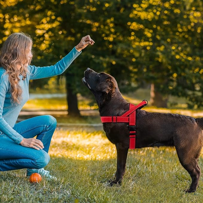Red No Pull Dog Harness for Small Medium Large Sized Dog, Reflective Escape Proof Adjustable Dog Harnesses with 2 Patch, L