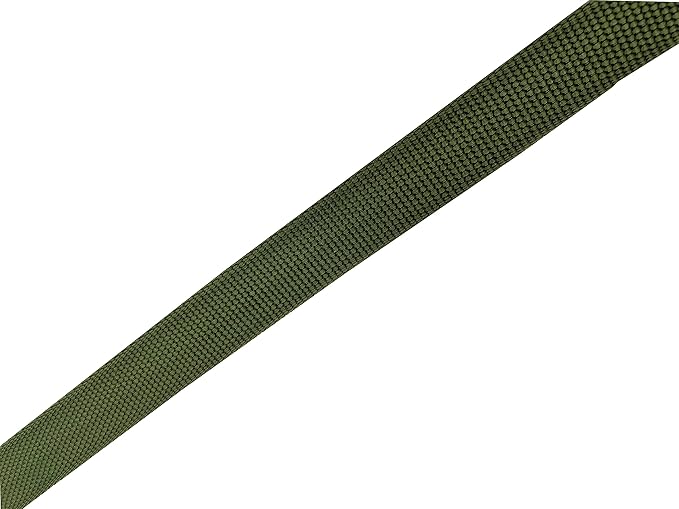 Nylon Dog Leash 16 Feet Long, Walking Training Dog Leashes for Medium Large Dogs(1" X 16 ft, Green)