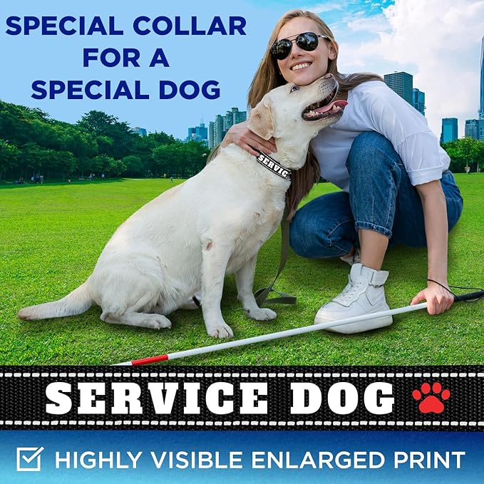 TECEUM Reflective Pet Collar – Black - Service Dog – S – Basic Nylon Dog Collar – Quick Release Buckle – Fits Small, Medium and Large Dogs, Puppies, Cats – ESA & Service Dog Options