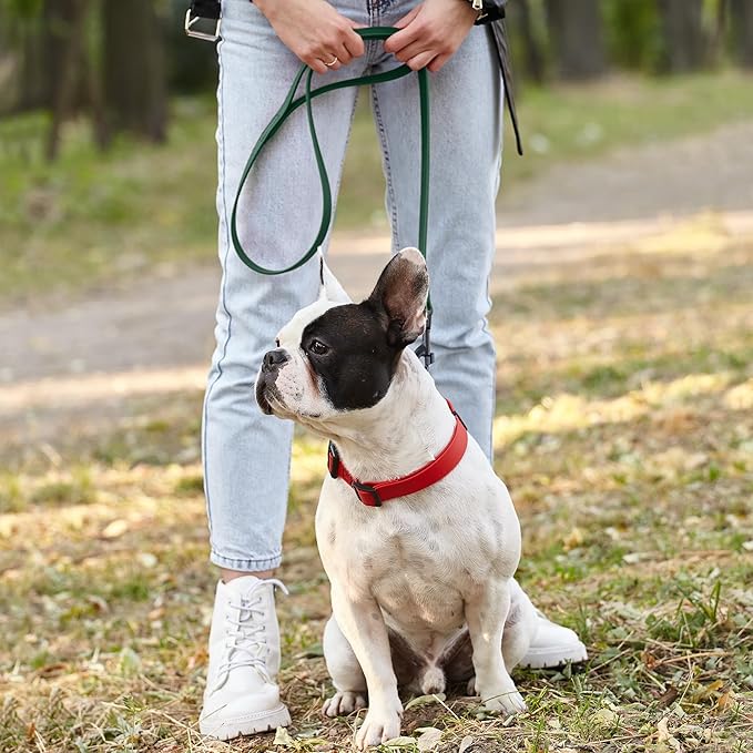 Dogline Biothane Waterproof Dog Leash Strong Coated Nylon Webbing with Black Hardware Odor-Proof Easy to Clean High Performance for Small or Large Dogs Made in USA 4 or 6 ft Lead, Hunter Green