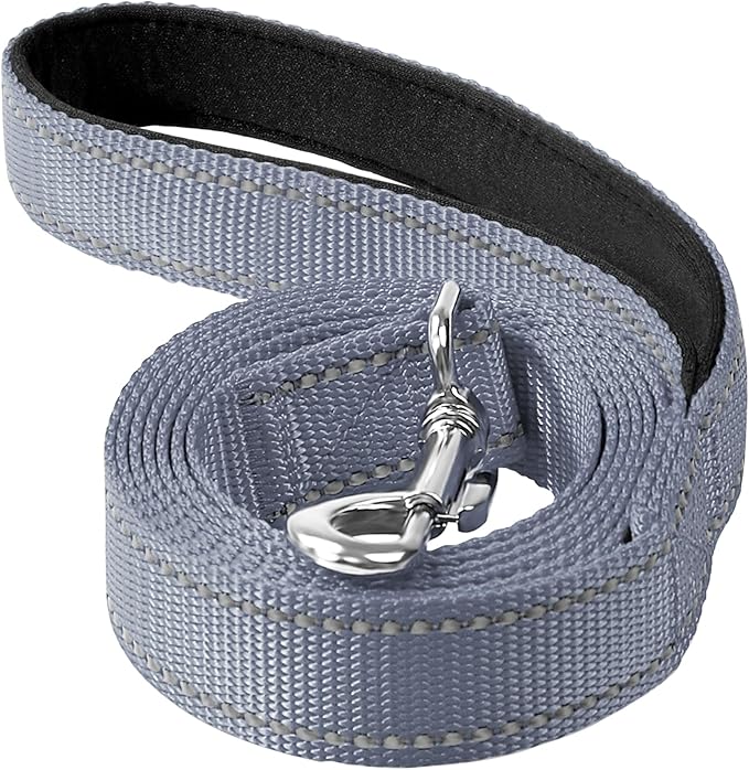 Erbine 6FT Reflective Nylon Dog Leash with Soft Padded Handle for Walking, Running and Training, Supports Small Medium and Large Dogs (Grey, 3/4Inch Wide)