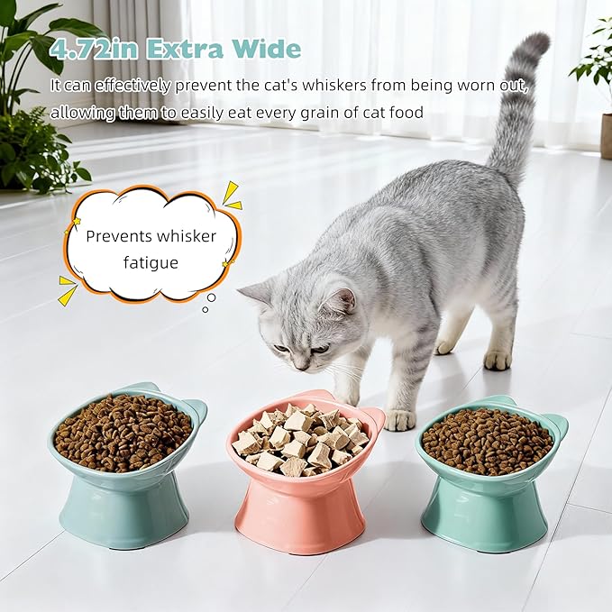 KSIA Klear Elevated Cat Bowls 2 Pack, Tilted Raised Cat Bowl for Food and Water, 4.72" Wide, Whisker Friendly Anti Vomit for Indoor Cats, Microwave and Dishwasher Safe, Green