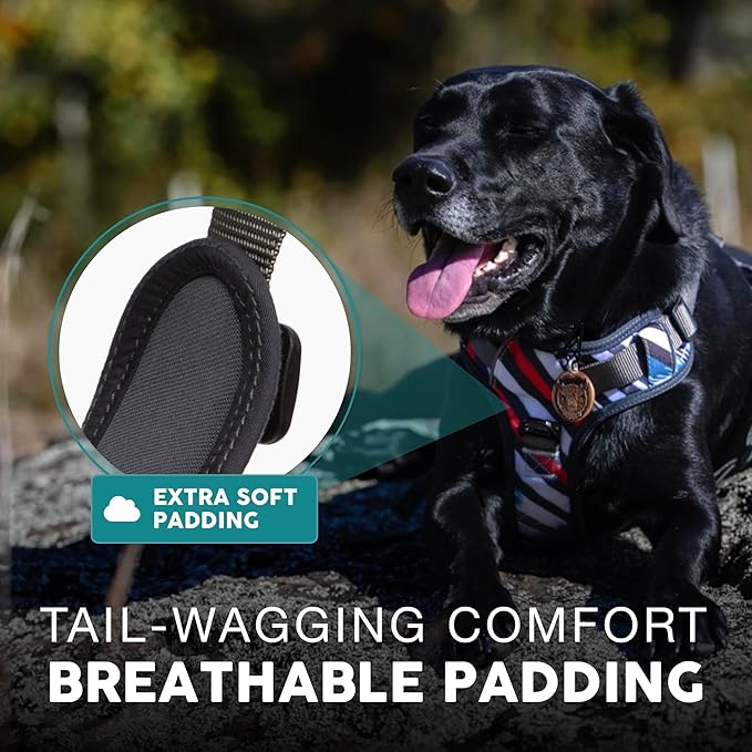 Embark Adventure Dog Harness, No-Pull Reflective Trim Dog Harness for Small, Medium & Large Dogs - Heavy Duty Oxford, 2 Leash Clips & Gel Lined Handle. Soft & Padded Puppy Dog Vest for Any Breed