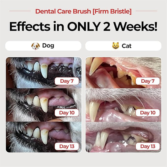 JAYU PET Dental Care Brush (Firm Bristles) 1ea - Resilient Dog Toothbrush, Cat Toothbrush for Tartar & Plaque Removal, Horizontal Head and S-Curved Body