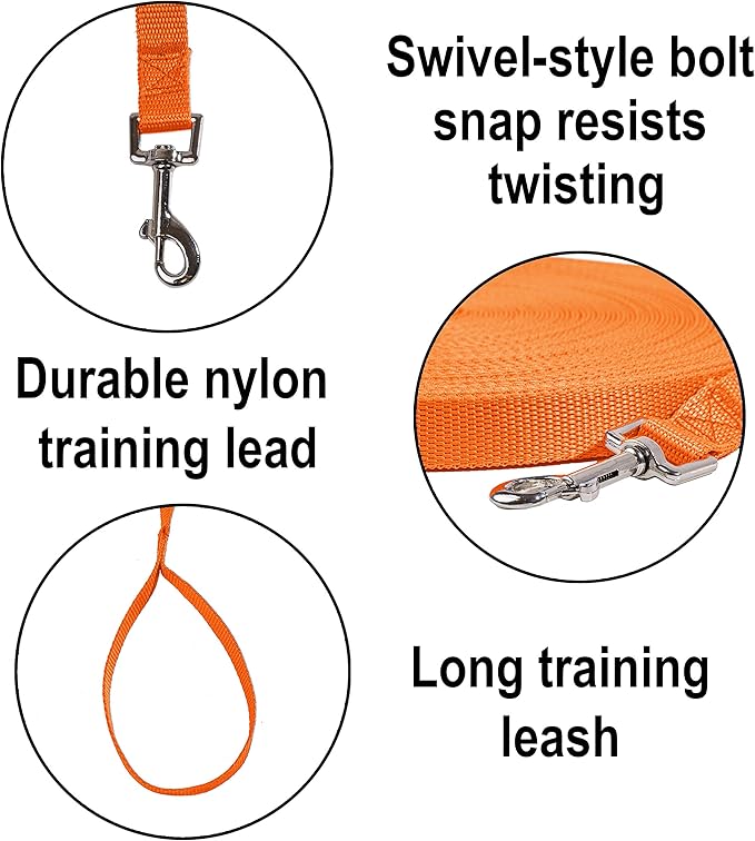 Hi Kiss Dog/Puppy Obedience Recall Training Agility Lead - 15ft 20ft 30ft 50ft 100ft Leash - Great for Play, Camping, or Backyard - Orange 30ft