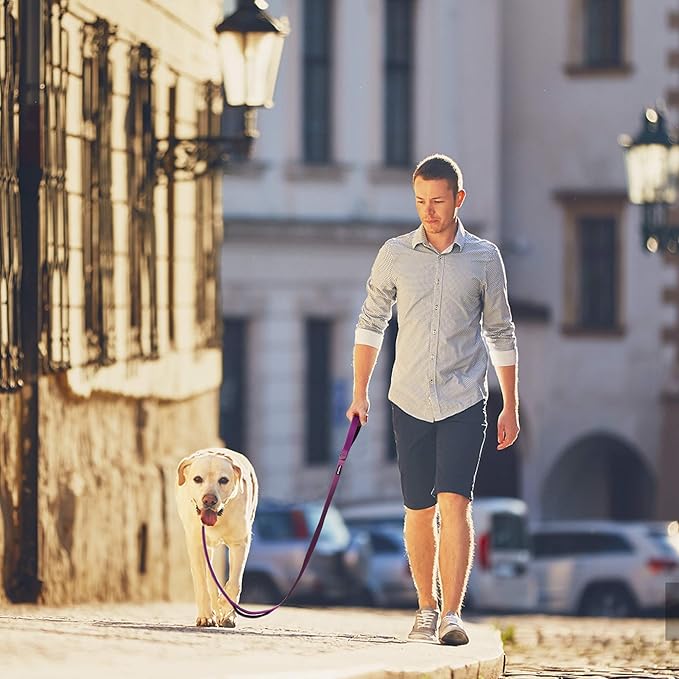 PetiFine 4FT Heavy Duty Dog Leash with Soft Padded Double Handle, Durable Strong Clasp Dog Leashes, Reflective Nylon Walking Lead for Large,Medium,Small Breed Dogs, Rose