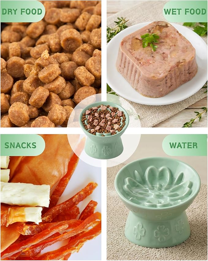 TRUVIC Ceramic Slow Feeder Cat Bowl, Elevated Cat Wet Food Bowl Tilted Design, Raised Slow Feeder Dog Bowl no Black Chin, Four-Leaf Clover Shape for Dry and Wet Food, Green