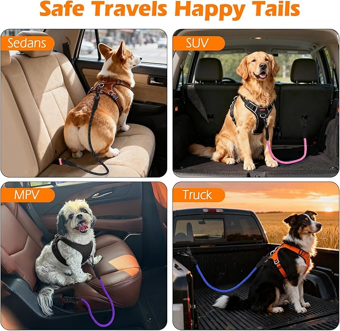 PetBonus Dog Seat Belt for Car, Durable Rope Dog Car Harness Seatbelt for Vehicle, Pet Tether Safety Restraint with Heavy Duty Buckle Hook Latch Lockable Clip for Small Medium Large Breeds (Turquoise)