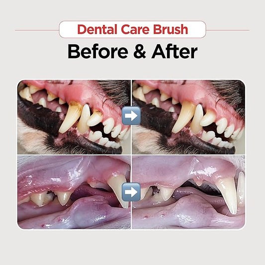 JAYU PET Dental Care Brush [Soft&Firm&Edge Bristles] - Toothbrush for Cat and Small Dogs, Removing Old Plaque and Tartar, Cat Dental Care, Cats Teeth Brushing & Easy Cleaning