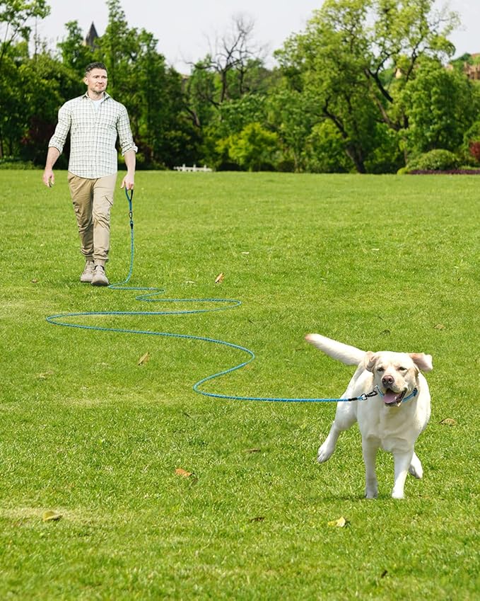 Joytale Long Leash for Dog with Removable Padded Handle, Heavy Duty Lead for Large Medium Dogs,15FT/30FT/50FT/65FT Reflective Training Leash for Play, Camping, Backyard Tie Out, Blue, 30FT