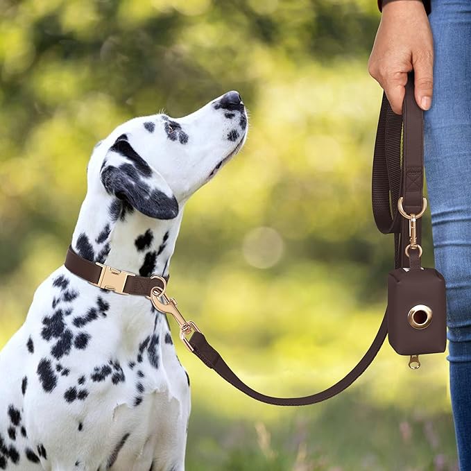 PET ARTIST PU Leather Dog Collar, Bright & Stylish Brown Dog Collar with Quick Release Gold Metal Buckle, Soft Nylon Padded Durable Pet Collars Adjustable for Medium Dogs, Neck Fit 13-19"