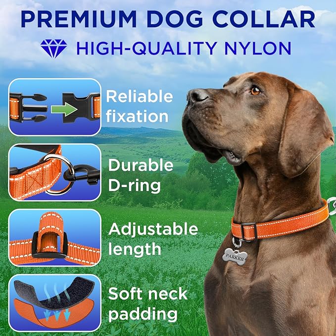 TECEUM Reflective Dog Collar – Orange – XL – Extra Soft Padding – Basic Nylon Pet Collar – Quick Release Buckle – Fits Small, Medium and Large Dogs, Puppies, Cats – ESA & Service Dog Options