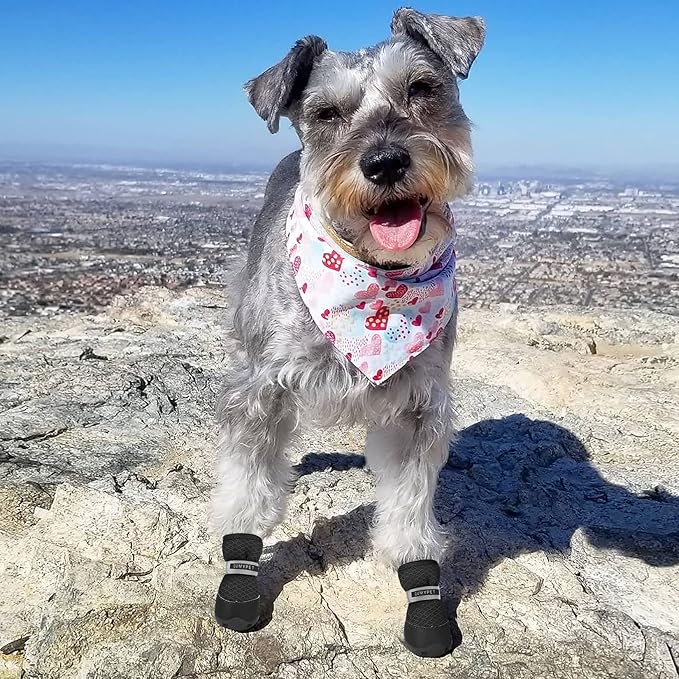 QUMY 4PCS Dog Shoes for Small Dogs, Hot Pavement Summer Puppy Dog Boots & Paw Protectors with Soft Anti-Slip Rubber Sole, Mesh Breathable Dog Booties for Hardfloors, Walking Running Black Size 3