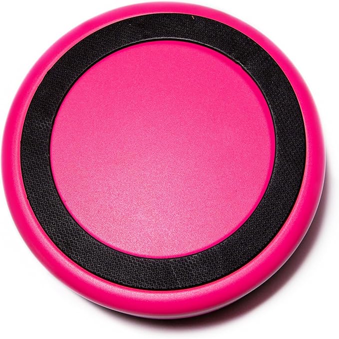 Glow Pups Bright Pink Dog Bowl for Small Dogs, 32 oz Non Slip Stainless Steel Pet Bowl, Vacuum Insulated Pet Bowl That Keeps Water Cool (32 oz, Bright Pink)