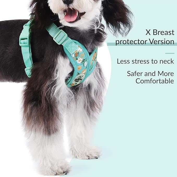 Patas Lague Dog Harness with Leash Set Adjustable Soft Padded Step-in Dog Vest No Choke No Pull Reflective for Small Pets with Poop Bags and Dispenser, Solid and No-chew, Floral Green XS