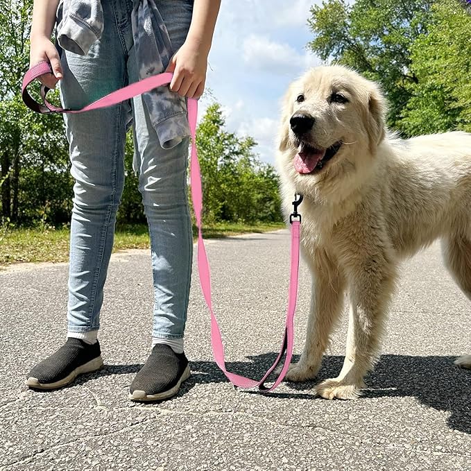 Joytale Dog Leash Heavy Duty for Large Dogs That Pull, Double Handle for Traffic Control, Double-Sided Reflective Leashes for Large Medium Dogs Night Safety, 4FT, Pink