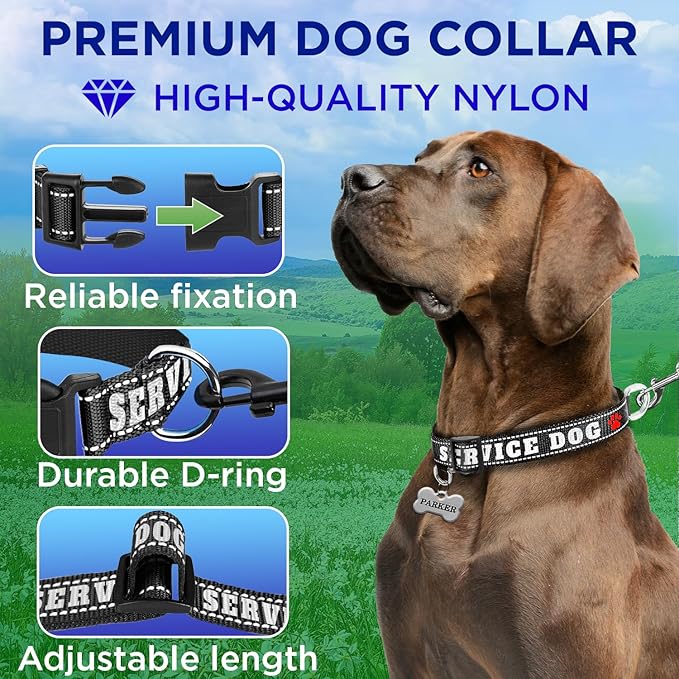 TECEUM Reflective Pet Collar – Black - Service Dog – S – Basic Nylon Dog Collar – Quick Release Buckle – Fits Small, Medium and Large Dogs, Puppies, Cats – ESA & Service Dog Options