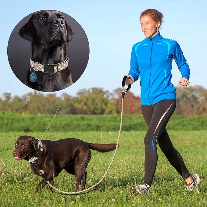 Reflective Dog Collar Padded with Soft Neoprene Breathable Adjustable Nylon Dog Collars for Small Medium Large Dogs (X-Small (Pack of 1), Vanilla Plaid Collar+Leash)