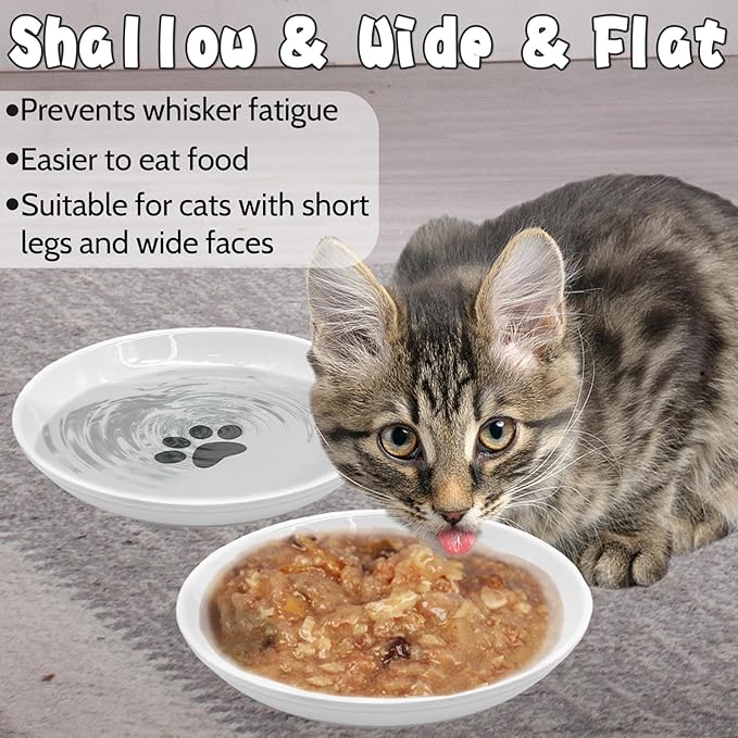 BNOSDM Non Skid Cat Food Bowls Shallow Ceramic Cat Dishes with Rubber Bottom Whisker Fatigue Kitty Bowl 5.9 inch Flat Cats Plates Set of 4 Small Pet Feeding Bowls for Dry & Wet Food