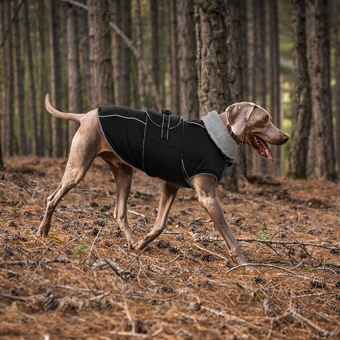LeLePet Waterproof, Windproof Dog Coat (Black, 2XL) - Reflective, Adjustable, Polyester Cold Weather Coat with Fleece Lining for Large Dogs