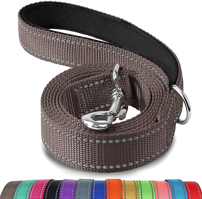 Joytale Double-Sided Reflective Dog Leash, 6 FT/5 FT/4 FT, Padded Handle Nylon Heavy Duty Leashes for Medium & Large Dogs Walking, Brown, 6FT