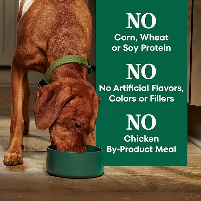 Nutro Natural Choice Senior Dog Food, Lamb & Brown Rice Recipe, 36 lb. Bag
