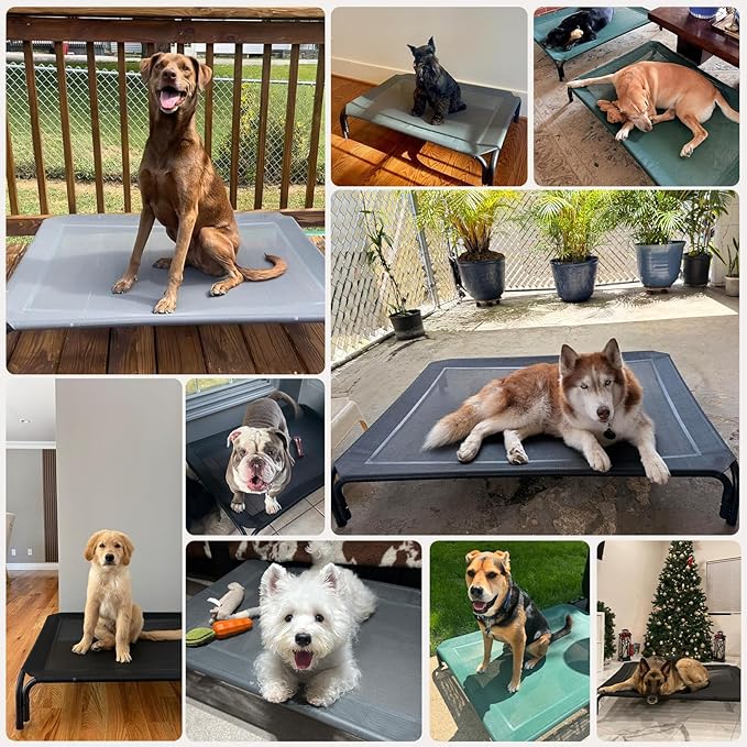 Elevated Dog Bed Raised Outdoor Dog Cot for Extra Large Dogs, Installation Requires No Tools, Frame with Washable Cooling Breathable Mesh Anti-Slip Feet, Indoor Pet Bed, Green, 48.8 Inches