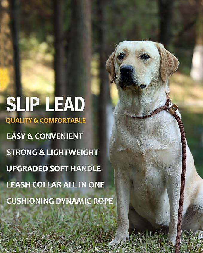 lynxking Dog Leash Slip Lead Rope Leash Strong Heavy Duty Braided Dog No Pull Training Lead for Medium Large and Small Dogs