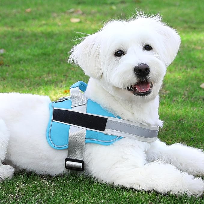 Bolux Dog Harness, No-Pull Reflective Dog Vest, Breathable Adjustable Pet Harness with Handle for Outdoor Walking - No More Pulling, Tugging or Choking (OceanicBlue, Large (Pack of 1))
