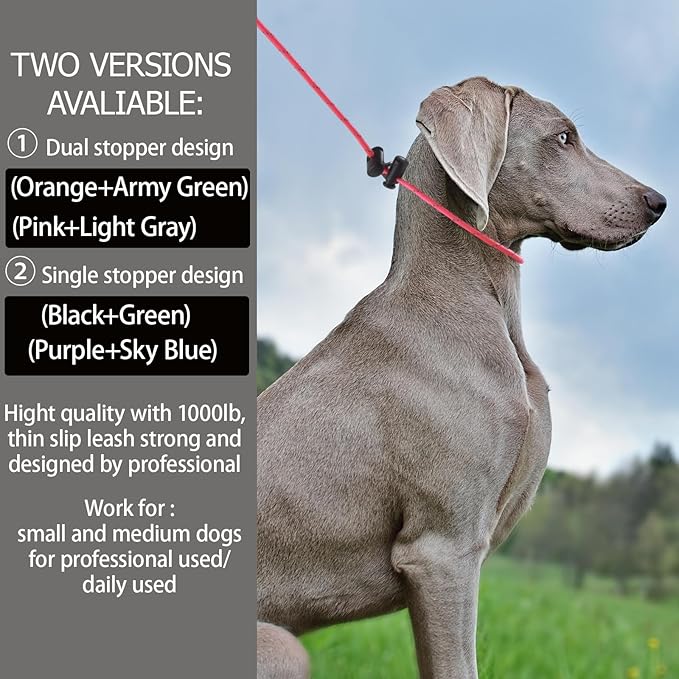 Reflective Slip Lead Leashes Puppy Training Lead – 4.3mm Paracord Rope with 12-Core Strength, 1000lb Pull Force Set of 2 for Small & Medium Dogs (Pink & Light Gray, 4 FT)