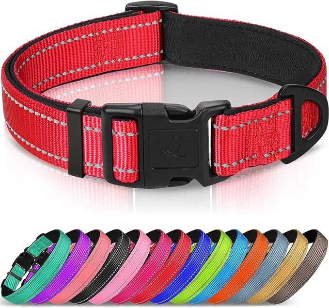 Joytale Reflective Dog Collar, Soft Neoprene Padded, Metal D-Ring, Nylon Pet Collar Adjustable for Small Dogs, Red, S