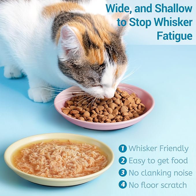 Kitwinney Non-Slip Cat Bowls, Ceramic Cat Food Bowl Set with Silicone Base, Cats Dishes, Cute Plates for Feeding Indoor Cats, Kitten, Small Dogs (Multi4, Shallow)