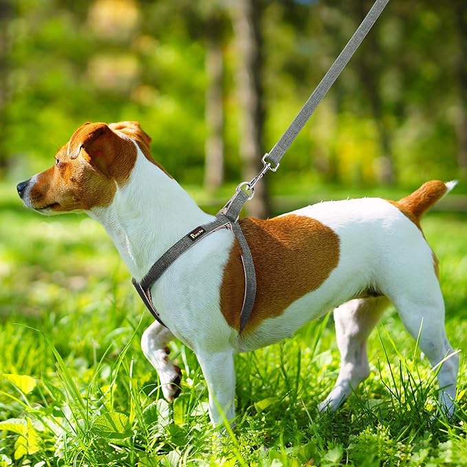 Plutus Pet Cotton Hemp Step in Dog Harness, Sustainable, Lightweight and Escape-Proof, Quick Fit Dog Harness for Puppy Small Medium and Large Dogs, Gray, L