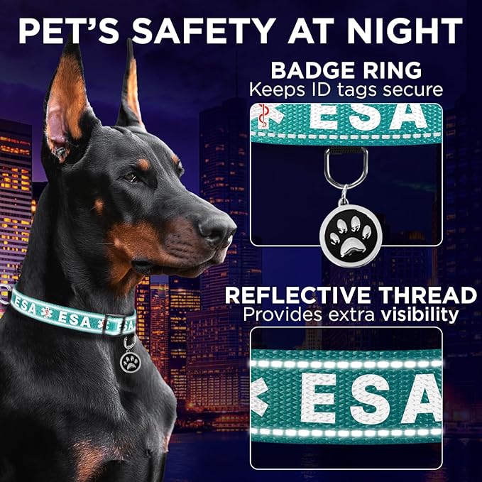 TECEUM Reflective Pet Collar – Teal - ESA – XS – Extra Soft Padding – Basic Nylon Dog Collar – Quick Release Buckle – Fits Small, Medium and Large Dogs, Puppies, Cats – ESA & Service Dog Options