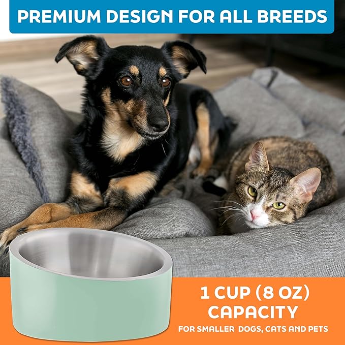 Master Pet Supply Stainless Steel Slanted Dog Cat Food Bowl - 8 oz Heavy Duty - Pistachio, Double Wall Insulated, Non-Slip Elevated Bowl for French Bulldogs Pugs Cats, Anti Rust Dishwasher Safe