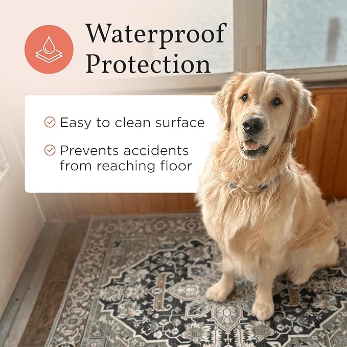 Stylish Waterproof Dog Mats for Muddy Paws - Decorative Washable Pet Floor Protectors - Large 36 x 48 Inch Rug-Look Pads - Machine Washable, Non-Slip Backing - 2 Pack (Bohemian Jewel)