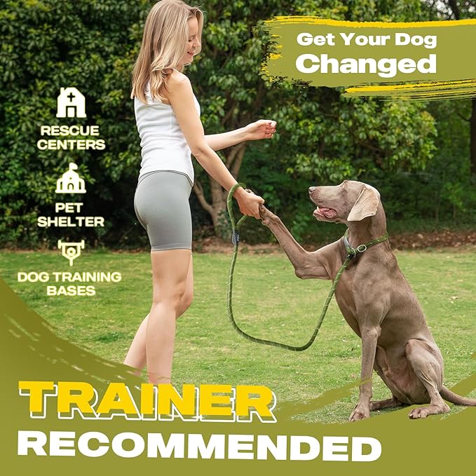 Fida Durable Slip Lead Dog Leash Bulk Pack of 5, Heavy Duty 1/2" x 6 FT Comfortable Strong Rope Slip Lead for Large, Medium & Small Dogs No Pulling Pet Training Leash with Highly Reflective (Mixed)