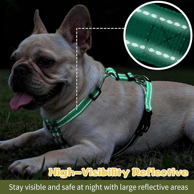 Dog Harness,Adjustable No Pull Dog Harness,Y-Shaped Design,Buckle-Neck Balance Harness with Reflective, Ideal for Dog Training Hiking, Easy Walk Harness,Durable High-Tensile Nylon Aqua Green-S