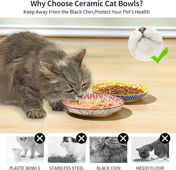 Selamica Ceramic Cat Bowls, 6 Inch Wide Shallow Cat Food Bowl for Relief Whisker Fatigue, Set of 6, Assorted Colors