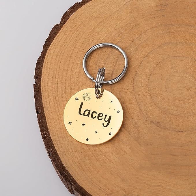Anavia Small Size Dog Cat ID Tags, Small/XS Personalized Color Plated Stainless Steel Puppy Kitten Name Tags, Customized Engraved Nameplate Pet Collar Tag (Silver, Round)