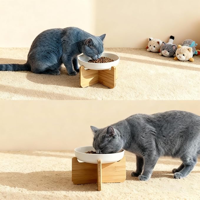 Shallow Elevated Cat Bowls with Bamboo Stand, 6.1 Inch Wide Ceramic Cat Dish Whisker Friendly, 2 Pack Pet Food and Water Plates
