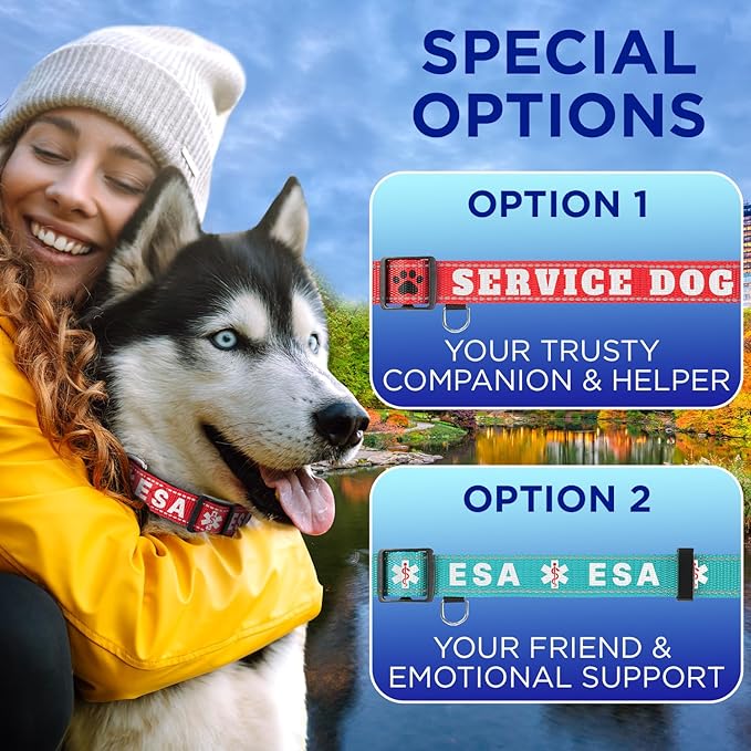 TECEUM Reflective Dog Collar – Sky Blue – M – Basic Nylon Pet Collar – Quick Release Buckle – Fits Small, Medium and Large Dogs, Puppies, Cats – ESA & Service Dog Options