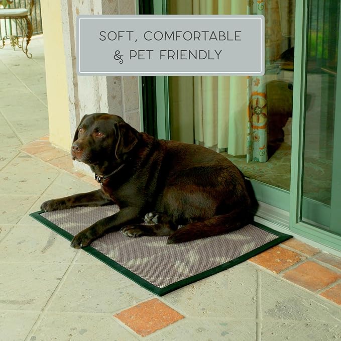 Bernini Aqua-Terra Waterproof Shoe Scraper Dog Mat, Heavy Duty Mud Mat with Quick Dry Mesh, Stain Resistant Rubber, Low-Profile Dirt Grabber, Indoor/Outdoor Dog Doormat for Muddy Paws, 36"x 24"