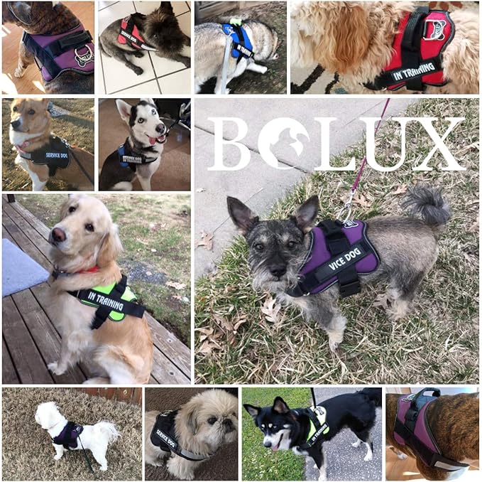 Bolux Dog Harness, No-Pull Reflective Dog Vest, Breathable Adjustable Pet Harness with Handle for Outdoor Walking - No More Pulling, Tugging or Choking Small (Pack of 1) Green