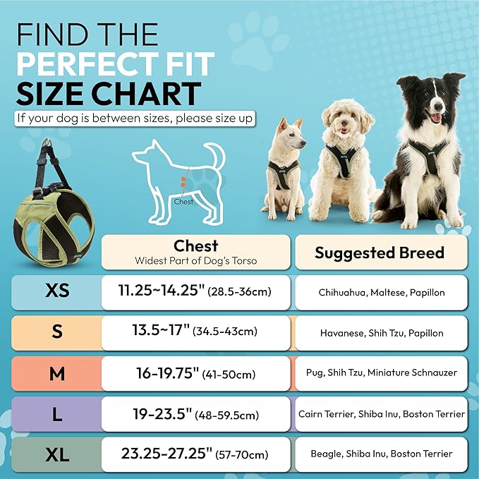 Gooby Escape Free Easy Fit X Step in Dog Harness - Portland Green, Small