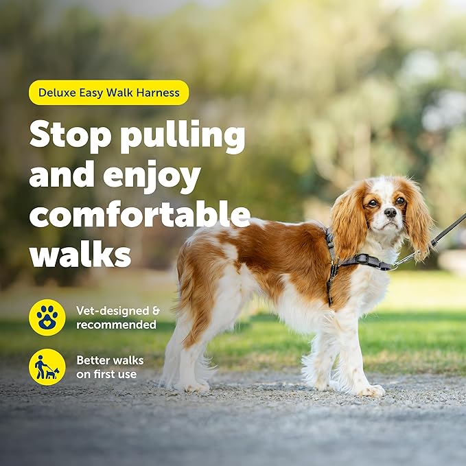 PetSafe Deluxe Easy Walk Harness - Trainer-Trusted Dog Chest Harness with Breathable Martingale Loop Design - Helps Stop Pulling with No Choking & Gagging - Small - Steel