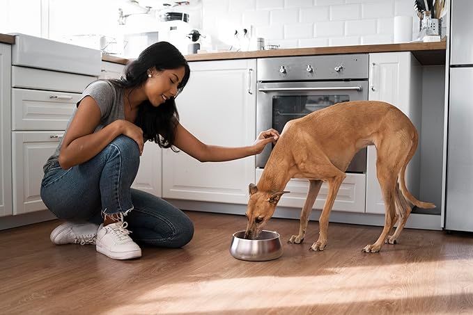 Sipworks Stainless Steel Dog Bowl – 32oz Weighted Metal Food and Water Bowls for Dogs and Cats with Non-Slip Base - Pet Bowls for All Breeds Sizes for Travel & Outdoor Play | Buttercream