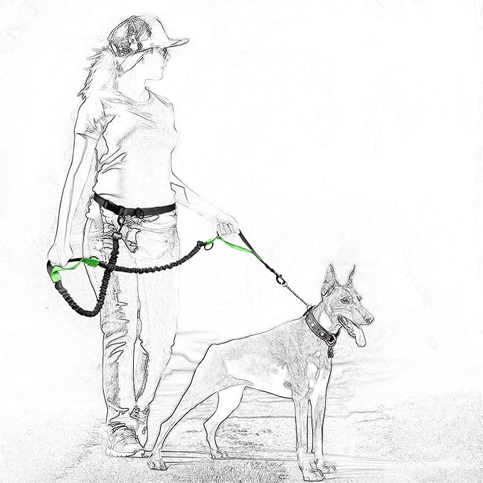 Mile High Life Hands Free Waist Leash for Dog Running Training and Jogging, Adjustable Belt with Double Handle, Reflective Bungee for Medium Large Dogs (Black, 7FT)