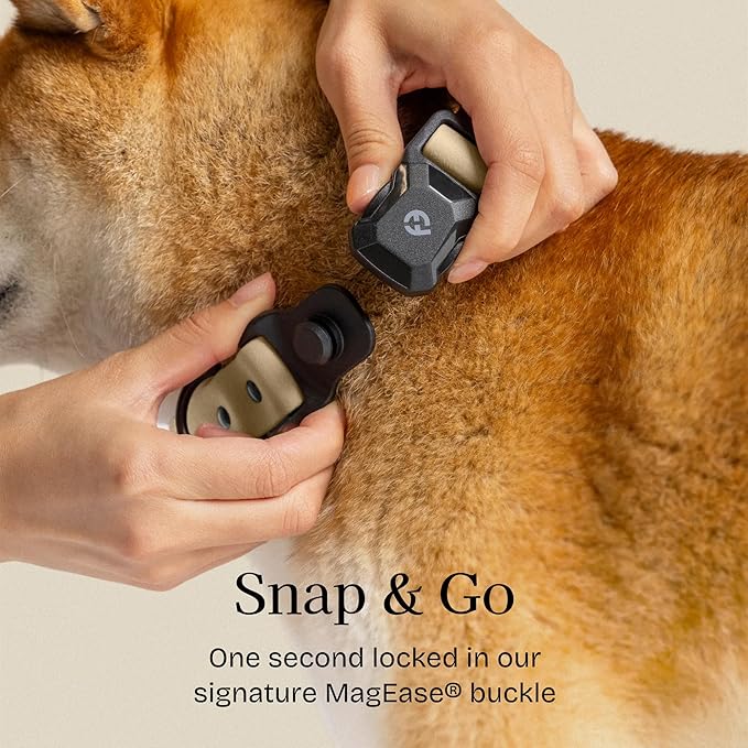 2025 New Edition, Fei & Eve PVC MagEase Dog Collar - Patented Magnetic Buckles | Fur-Safe | 450LB Escape-Proof | Adjustable Fit | Small (Champagne)