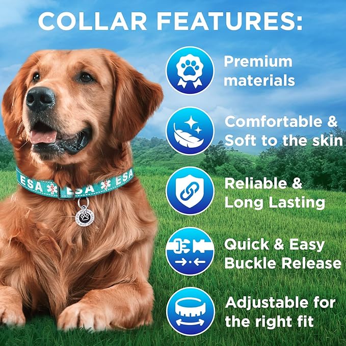 TECEUM Reflective Pet Collar – Teal - ESA – XS – Extra Soft Padding – Basic Nylon Dog Collar – Quick Release Buckle – Fits Small, Medium and Large Dogs, Puppies, Cats – ESA & Service Dog Options
